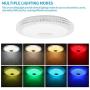SOOTOP LED Music Ceiling Light, Imitating Crystal Border with Bluetooth Speaker Ceiling Crystal Lamp for Living Room Bedroom, Dimmable White Warm Light RGB Color Changing