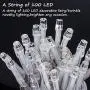 EMITEVER String Lights Indoor/Outdoor - Waterproof Ultrabright & Safe - 8 Modes Twinkle Lights 39FT 100LED, UL Plug in Christmas String Lights for Bedroom (Cold White)