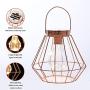 n / a Cage Bulb Lantern Lamp, Decorative Battery Powered Cordless Light, Warm White Fairy LED Bulb Lamp for Outdoor Garden Living Room Bedroom Wedding Party n / a Cage Bulb Lantern Lamp, Decorative Battery Powered Cordless Light, Warm White Fairy LED Bulb Lamp for Outdoor Garden Living Room Bedroom Wedding Party
