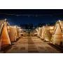 Dailyart Globe String Light,LED Starry Light Fairy Light for Wedding,Xmas Party (Warm White, Battery-powered, 13feet/4meters)