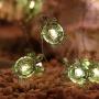 MH Green Turtle String Lights Turtle Decorative String Lights 18.7 Ft 40 Warm White Led USB Plug-in Silver Copper Wire Novelty Fairy Lights for Holiday Party Bedroom Wedding Nursery Decorations