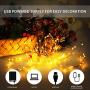 Ariceleo USB LED Fairy String Light, 1 Pack Copper Wire Fairy Lights for Indoor, Bedroom Festival Christmas Wedding Party Patio Decorative Window with USB Interface (16ft./5M,Warm White)