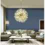 Sputnik Chandeliers 16-Lights,Firework Chandelier Modern Crystal Pendant Lighting for Dining Rooms G9 Ceiling Light Fixtures Creativehanging Light