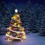 WERTIOO 33ft 100 LEDs Battery Operated String Lights Globe Fairy Lights with Remote Control for Outdoor/Indoor Bedroom,Garden,Christmas Tree[8 Modes,Timer ] (Warm White)