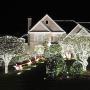 MYGOTO LED String Lights, 165FT 500LED 30V Plug in Waterproof String Lights with 8 Modes for Indoor and Outdoor Party Wedding Home Patio Lawn Garden Supplies (Cool White)