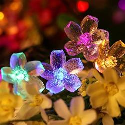 Flower String Lights, Sakura Lights, Indoor/Outdoor Decorative String Lights, Fairy Twinkle Wire Lights with 8 Flash Changing Modes for Christmas/Patio/Garden/Party (33ft 100LED Multi-Color)