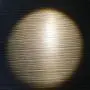 HomeFocus LED Floor Lamp Light,Living Room Lamp Light,Bedroom Lamp Light,Metal,Flexible Gooseneck LED 5W,3000K,Brushed Brass,Energy Efficient Super Bright for Home and Hotel. HomeFocus LED Floor Lamp Light,Living Room Lamp Light,Bedroom Lamp Light,Metal,Flexible Gooseneck LED 5W,3000K,Brushed Brass,Energy Efficient Super Bright for Home and Hotel.