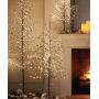 12APM 66 ft 200LEDs Waterproof Starry Fairy String Lights, with Remote Dimmable Timer, Silver/Copper Wire for Bedroom Indoor Patio Ambiance Lighting Decor, USB Powered (Silver, warmwhite-66ft)