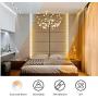 Lepro LED Strip Light, 3000K-6000K Tunable White, Dimmable Bright LED Tape Lights, 300 LEDs 2835, Strong 3M Adhesive, Suitable for Home, Kitchen, Under Cabinet, Bedroom