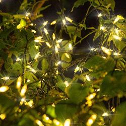 Twinkle Star 300 LED Christmas Mini String Lights, 99 ft Fairy Lights with Safe Adapter for Indoor Outdoor Home Garden Xmas Tree Party Decoration, Warm White