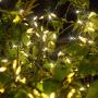 Twinkle Star 300 LED Christmas Mini String Lights, 99 ft Fairy Lights with Safe Adapter for Indoor Outdoor Home Garden Xmas Tree Party Decoration, Warm White