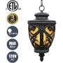 Goalplus Outdoor Pendant Light for Porch, Black Exterior Hanging Lantern Light Fixture with Amber Seeded Glass, Black Finish, 18'' High, IP44 Waterproof, LMSP0301-L