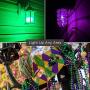 Mardi Gras Light Bulbs - 11 Watt Purple, Green, and Yellow Light Bulbs - Dimmable - E26 Base - by GoodBulb (11 Watt S14, 3 Pack)