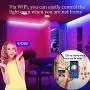 Militisto LED Light Strips 50ft (1-Pack) - Alexa Smart LED Strip Lights Compatible with Echo,Google Home - Music LED Lights for Bedroom,Aesthetic Room Decor,Smart Home, Home Decorations, Dorm Decor