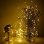 FUN LITTLE TOYS 300 LED 9.8 FT String Lights for Window Curtain Decoration, Battery Operated and Plug in Warm Lights, Christmas Party Bedroom Indoor Outdoor Wall Decoration