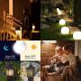 Night2Day Dusk to Dawn LED Light Bulb by Boundery- E26 Dusk to Dawn LED Outdoor Lighting with LED chip, 8W=100W, 120VAC, 5000-5500K - Dusk to Dawn Light Bulbs Outdoor and Indoor Use (1 Bulb)