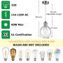 KRASTY Modern Brushed Nickel Seeded Glass Pendant Light Fixtures Mini Adjustable Pendant Lighting Chorme Ceiling Pendant Light, Pendant Lamp for Kitchen Island Dining Room Bedroom