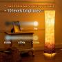 Floor Lamp, CHIPHY 39'' dimmable Standing Lamp, 7 Colors Changing LED Bulbs and 10 Levels Brightness and Color Temperature, Remote Control, Brown Fabric Shade, Modern for Bedroom, Kids Room, Play Room
