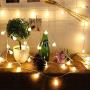 LED String Lights, Merdeco Plug in String Lights 16ft/5m 50 LED Bulb Warm White Globe Fairy Lights for Christmas/Wedding/Party Indoor and Outdoor Decoration