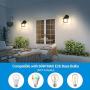 DEWENWILS 2 Pack Dusk to Dawn Wall Light Outdoor, Clear Water Ripple Glass Shade, Exterior Light Fixtures Wall Mount, E26 Socket, Anti-Rust & Waterproof Wall Sconce for Garage, Backyard, UL Listed