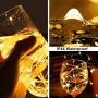 Blingstar Fairy Lights 2 Pack USB Powered String Lights Warm White 33Ft 100 Led Christmas Lights Fairy String Lights for Party Wedding Festival Bedroom Table Decoration