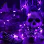 HAYATA 200 LED Purple String Lights - 65ft 30V Mini Bulb Halloween String Light for Outdoor Indoor Decor, Waterproof Fairy Lighting for Garden, Yard, Home, Bedroom, Curtain, Halloween Party Decoration