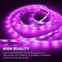 Tfzba 65.6ft Led Strip Lights, LED Lights for Bedroom, Ultra Long LED Lights RGB 5050 LED Light Strips Kit with 44 Keys Ir Remote Led Lights for Home Living Kitchen Room and Party