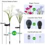 DasyFly Outdoor Solar Lights,3 Pack Solar Garden Lights Powered Waterproof Lights with 12 Lily Flowers,Solar Lights Outdoor Decorative for Garden,Patio,Backyard