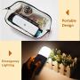 Motion Sensor Light Indoor, Dimmable LED Night Light, Build in 2000mAh Rechargeable Battery Operated, Portable Motion Activated Night Light for Kids Room, Bathroom,Living Room, Bedroom.Cold(2 Pack)