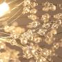 Senna House, SH-62368, Pendant Lamp, Modern Simple LED Chandelier,Globe Crystal Pendant Light, Dandelion Hanging Light, Pearl Flower Hanging Lamp for Bar, Living Room, Dining Room, Cafe