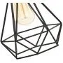 Riomasee Industrial Plug in Pendant Lighting 14.27 Ft Hanging Light Cord with On/Off Switch,Vintage Wire Cage Black Metal Hanging Lamp Riomasee Industrial Plug in Pendant Lighting 14.27 Ft Hanging Light Cord with On/Off Switch,Vintage Wire Cage Black Metal Hanging Lamp