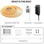 Maxonar LED Strip Lights Works with Alexa (32.8Ft / 10M) WiFi Wireless Smart Phone Controlled DIY Kit SMD 5050 RGB Multicolor Waterproof IP65 600LEDs Strip Light ,Works with Amazon Echo&Google Home