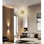 SAIMMAA Ceiling Crystal Chandeliers Lighting Pendant Lights Chandelier