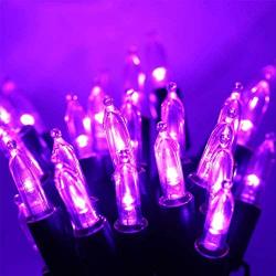 HAYATA 200 LED Purple String Lights - 65ft 30V Mini Bulb Halloween String Light for Outdoor Indoor Decor, Waterproof Fairy Lighting for Garden, Yard, Home, Bedroom, Curtain, Halloween Party Decoration