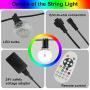 FMART 29FT Outdoor Color String Lights, RGB LED String Light with 15 G40 Edison Bulbs Dimmable, 1 Remote Controls, Waterproof & Shatterproof for Patio Cafe Backyard and Garden