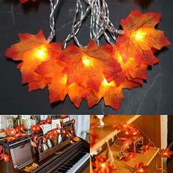 Fall Leaves Garland String Lights for Bedroom, 40 LEDs Thanksgiving Fairy Lights Indoor Fall Lights String, Holiday Decorations, Christmas Gifts