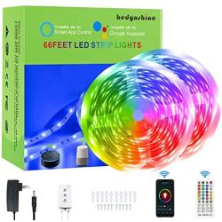 65.6 FEET Smart LED Strip Lights,Hedynshine RGB Light Strips 24V 44key Remote Controller, Work with Alexa/Google Home, Led Strip Lights Alexa 66ft