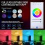 Smart Ceiling Light LED Ceiling Light for Bedroom,RGB Multicolor LED Bed Room Lamp Compatible with Alexa Echo Google Home Siri Dimmable Voice Remote Control Light Fixture for Living Room,13''18W