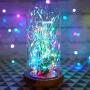 Homestarry Fairy Lights USB Plug In String Lights with Remote 33ft 100LEDs, 16 Color Changing Lights Twinkle Firefly Lights for Bedroom Party Wedding Christmas Tapestry, Multicolor Colors