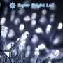 EMITEVER String Lights Indoor/Outdoor - Waterproof Ultrabright & Safe - 8 Modes Twinkle Lights 66FT 300LED, UL Plug in Christmas String Lights for Bedroom (Cold White)