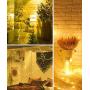 Govee Led Fairy Lights Bedroom, 66 Feet Fairy Lights Plug in, 200 LEDs Remote Control Fairy Lights with 8 Scence Modes 4 Timing Options USB Fairy Lights for Indoor Outdoor Decoration Warm White