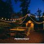 PERFECTDAY Solar String Lights, Shatterproof LED Solar String Light Outdoor G40 Umbrella Lights with 25 Bulbs - 27 Ft Patio Waterproof Lights