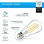 Vintage LED Edison Bulb, 6W, Equivalent 60W, Daylight White 4000k, Non-Dimmable Led Filament Light Bulb, E26 Base, High CRI 95+ Led Bulb, Clear Glass for Bathroom Kitchen Dining Room, Pack of 5