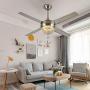 Crystal Modern Ceiling Fan-Remote Control Home Decoration Living Room Dinner Room Simple LED Mute Electric Fans Chandeliers 4 Stainless Steel Blades 44 Inch Crystal Modern Ceiling Fan-Remote Control Home Decoration Living Room Dinner Room Simple LED Mute Electric Fans Chandeliers 4 Stainless Steel Blades 44 Inch