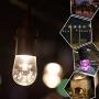Enbrighten 36134 Seasons 24ft LED Outdoor String, Warm White & Color Changing Edison, Patio, Café,, Shatterproof Light Bulbs, 150 Color Combinations, 24, Black, 24 Ft