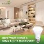 Bioluz LED Lights BR20 R20 Dimmable LED Light Bulbs 4 Pack - Flood Light Bulbs Indoor/Outdoor 7W=50W 500 Lumen E26 LED Bulb Replacement for Halogen Bulb - 3000K LED Bulb LED Flood Light Bulbs Indoor