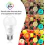 MikeWin Outdoor Dusk to Dawn Light Bulbs 2 Pack, 12W(100W Equivalent), E26 5000K, Built-in Photocell Detector, Auto On/Off, Smart Sensor LED Lighting Bulb for Porch Hallway Garage Boundary