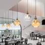 LAKIQ Hanging Pendant Light Plug in Glass Globe Modern Vintage Kitchen Island Lights Indoor Dining Table Hanging Lighting Fixture for Living Room Restaurant Foyer Bar Dining Room