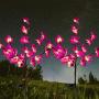 HeyMate Solar Garden Lights Outdoor 2 Pack Solar Purple Orchid Flower Lights Waterproof Solar Christmas Decorative Lights for Patio,Yard,Backyard,Pathway HeyMate Solar Garden Lights Outdoor 2 Pack Solar Purple Orchid Flower Lights Waterproof Solar Christmas Decorative Lights for Patio,Yard,Backyard,Pathway