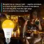 Amber Yellow LED Bug Light Bulb,ProPOW 7W Dusk to Dawn Bug Bulbs 40W Equivalent A19 Auto on/Off LED Bulbs Outdoor Bug Lights 580 Lumens Porch Lights(Non-Dimmable,E26,2200K,2 Pack)
